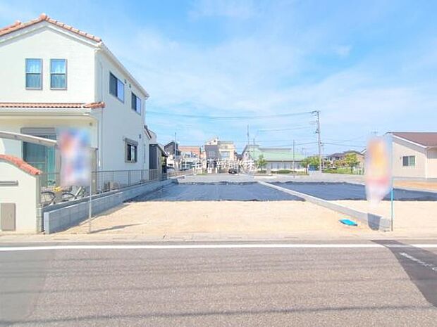 現地写真です。