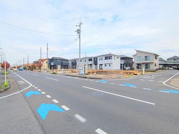 現地写真です。