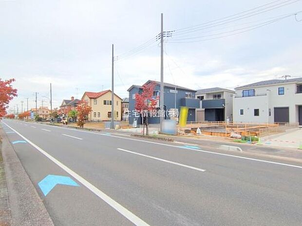 現地写真です。