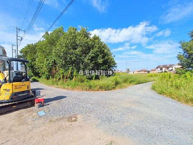 現地写真です。