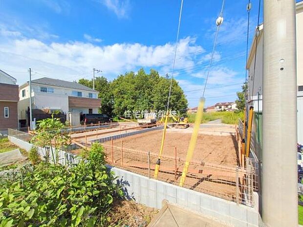 現地写真です。