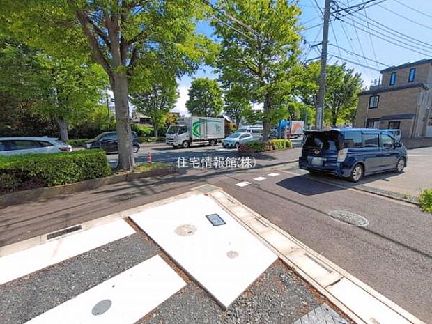 現地写真です。