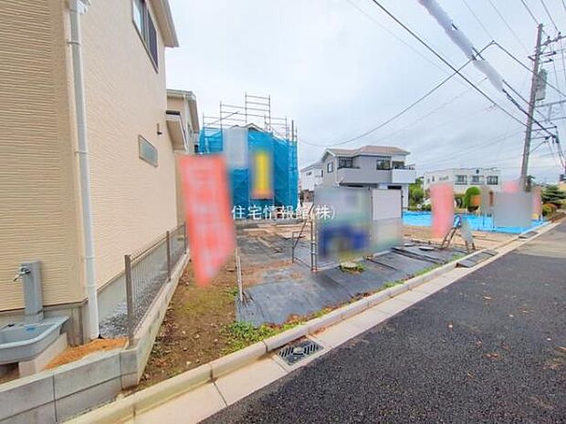 現地写真です。