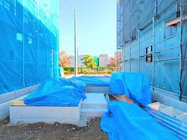 現地写真です。