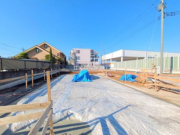 現地写真です。