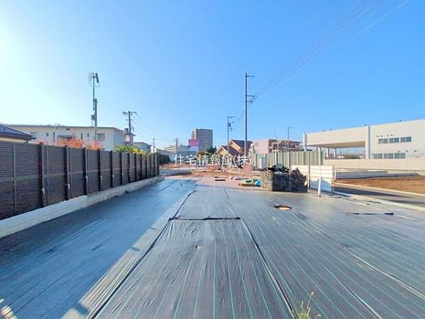 現地写真です。