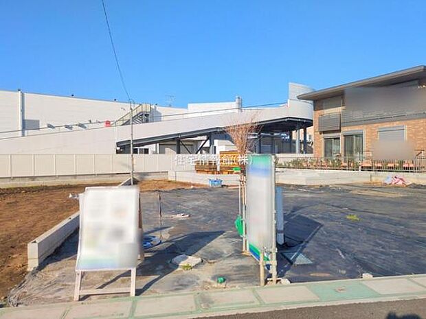 現地写真です。