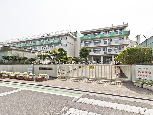 さいたま市立芝原小学校まで約410m(徒歩6分)