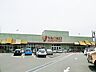 周辺：ヤオコー大宮蓮沼店まで約1100m（徒歩14分）