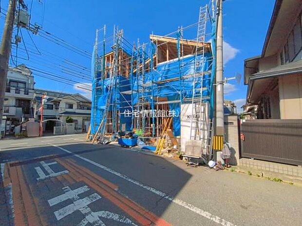 現地写真です。