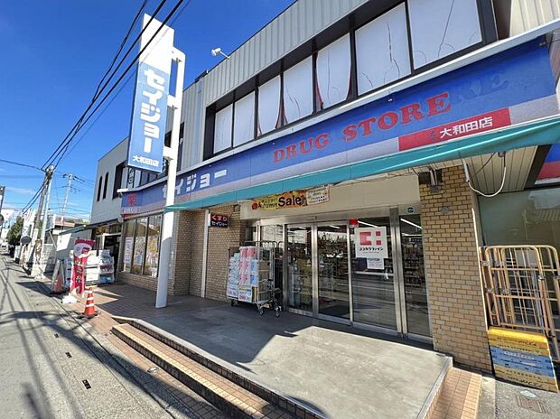ココカラファイン くすりセイジョー大和田店まで約1030m（徒歩13分）