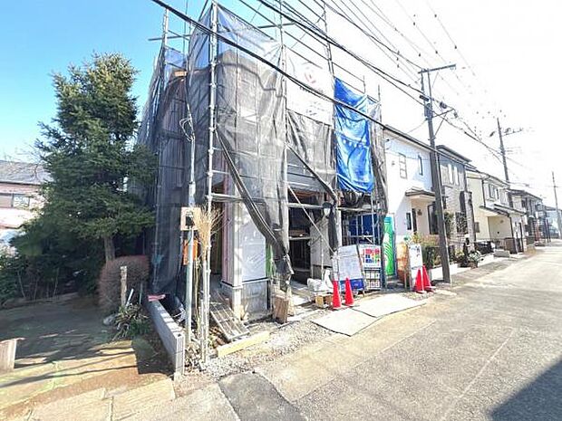 現地写真です。