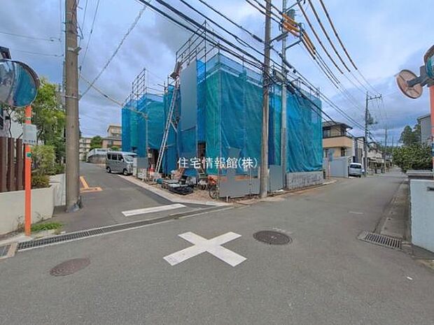 現地写真です。