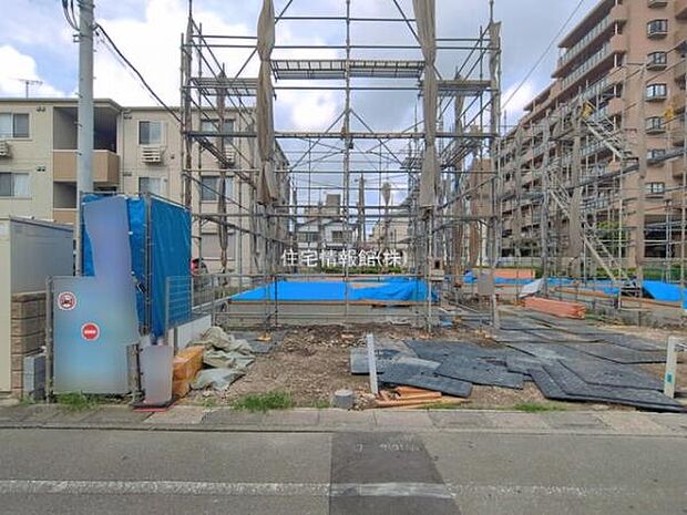 現地写真です。