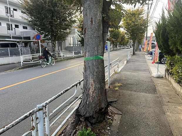 前面道路を含めた現地写真です。