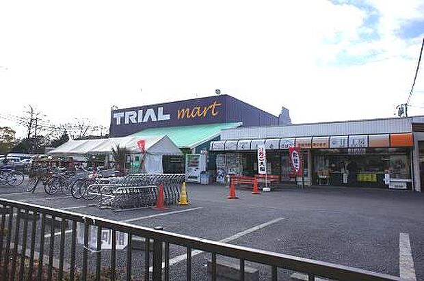 トライアルマート北越谷店まで約700m（徒歩9分）