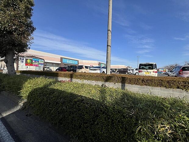 松伏ニュータウンショッピングセンターまで約1970m（徒歩25分）