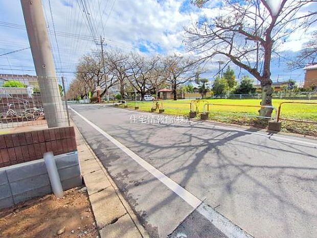 現地写真です。