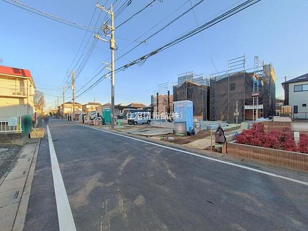 現地写真です。