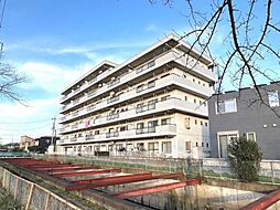 ベルドゥムール春日部