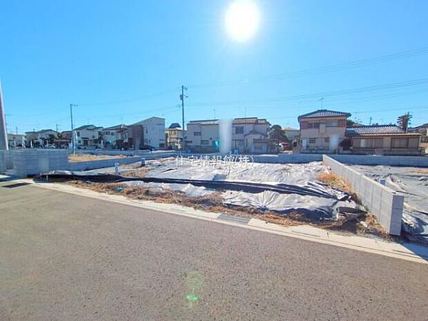 現地写真です。