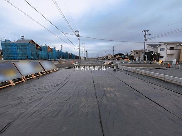 現地写真です。