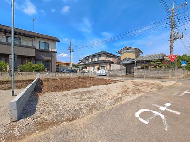 現地写真です。