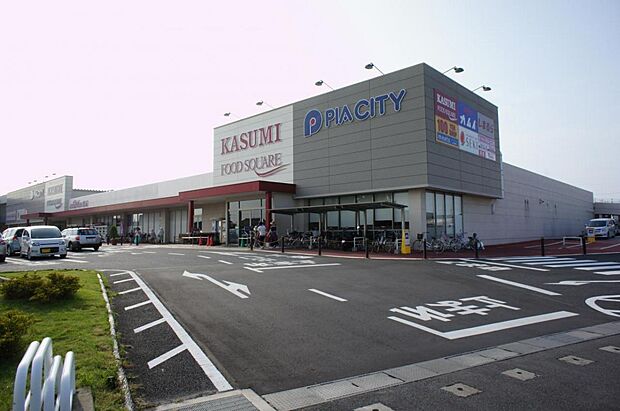 カスミ フードスクエア 宮代店まで約1723m（徒歩22分）