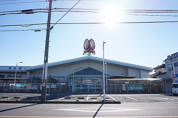 コメリハード&グリーン伊奈小室店まで約880m(徒歩11分)