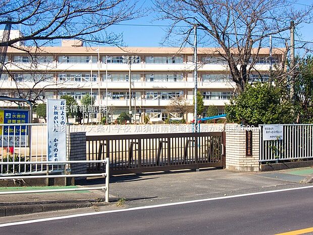加須市立大桑小学校まで約600m（徒歩8分）