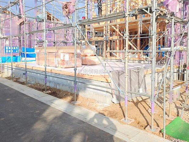 現地写真です。