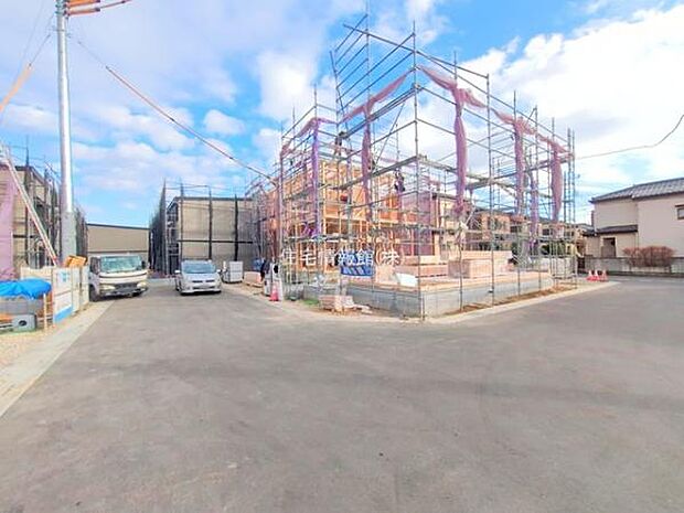 現地写真です。