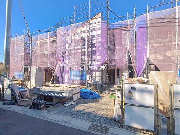 現地写真です。