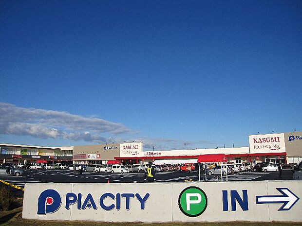 ピアシティ宮代まで約1710m(徒歩22分)