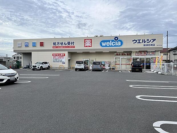 ウエルシア加須花崎店まで約1350m(徒歩17分)