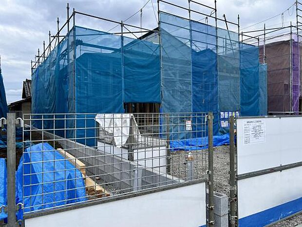 現地写真です。