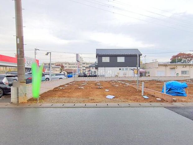 現地写真です。