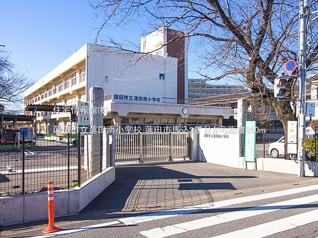 蓮田市立蓮田南小学校まで約860m(徒歩11分)