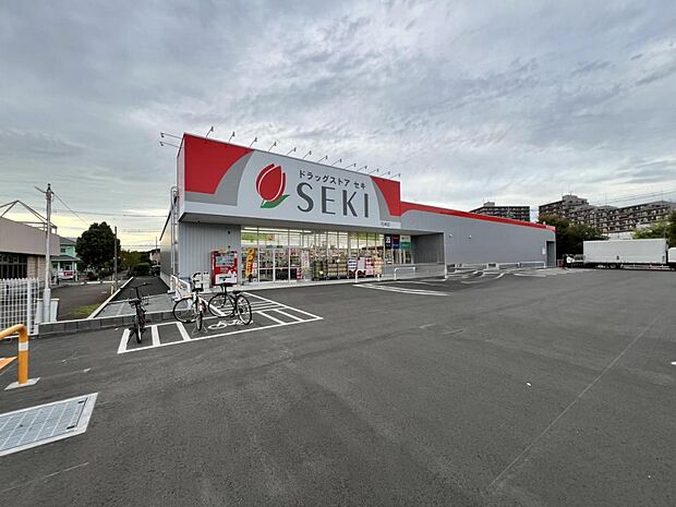 ドラッグストアセキ 花崎店まで約1360m（徒歩17分）