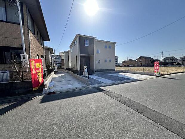 現地写真です。