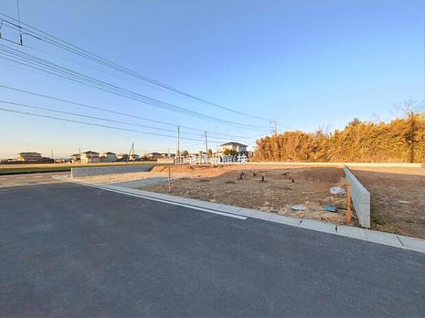 現地写真です。