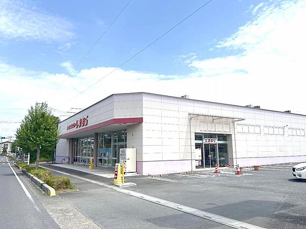 ファッションセンターしまむら蓮田店まで約1300m（徒歩17分）