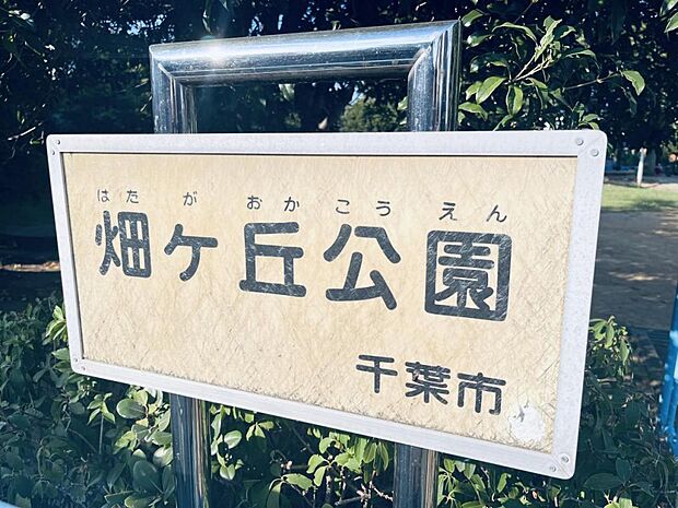 畑ヶ丘公園まで約390m(徒歩5分)