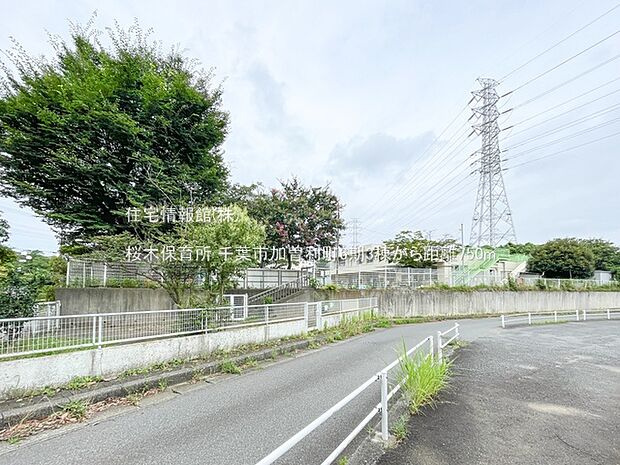 桜木保育所まで約750m（徒歩10分）