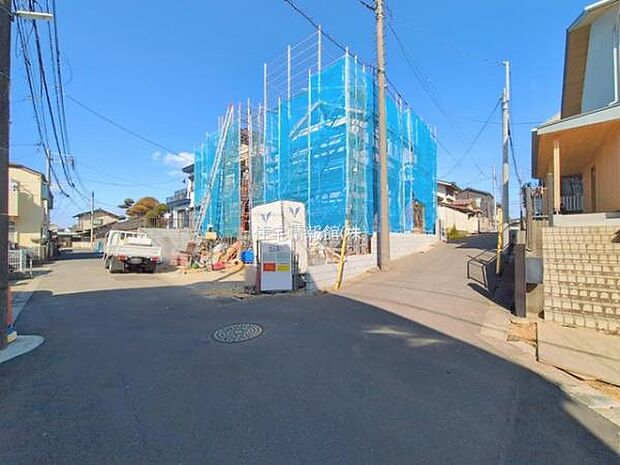 現地写真です。