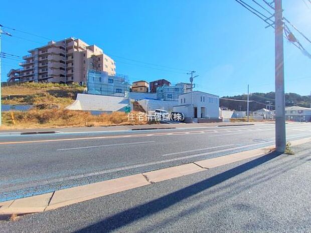 現地写真です。