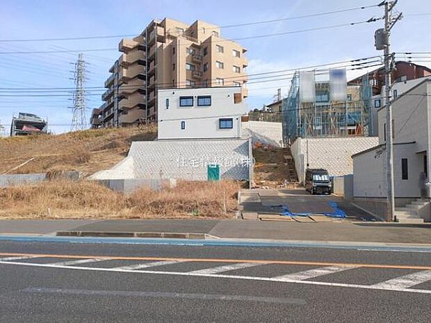 現地写真です。