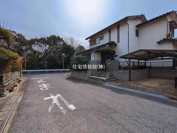 現地写真です。