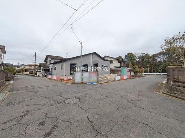 現地写真です。