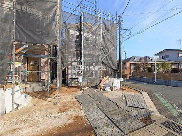 現地写真です。